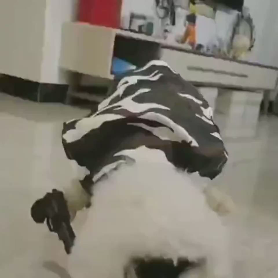 1.mp4